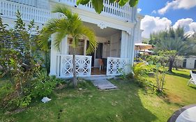 The Palm - Studio On The Beach
