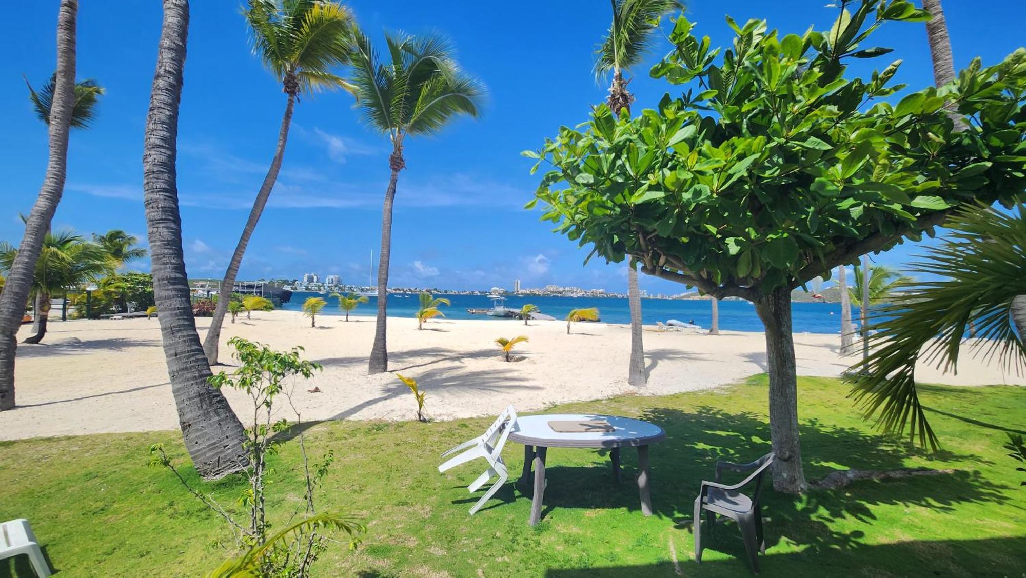 The Palm - Studio On The Beach Baie Nettlé Extérieur photo